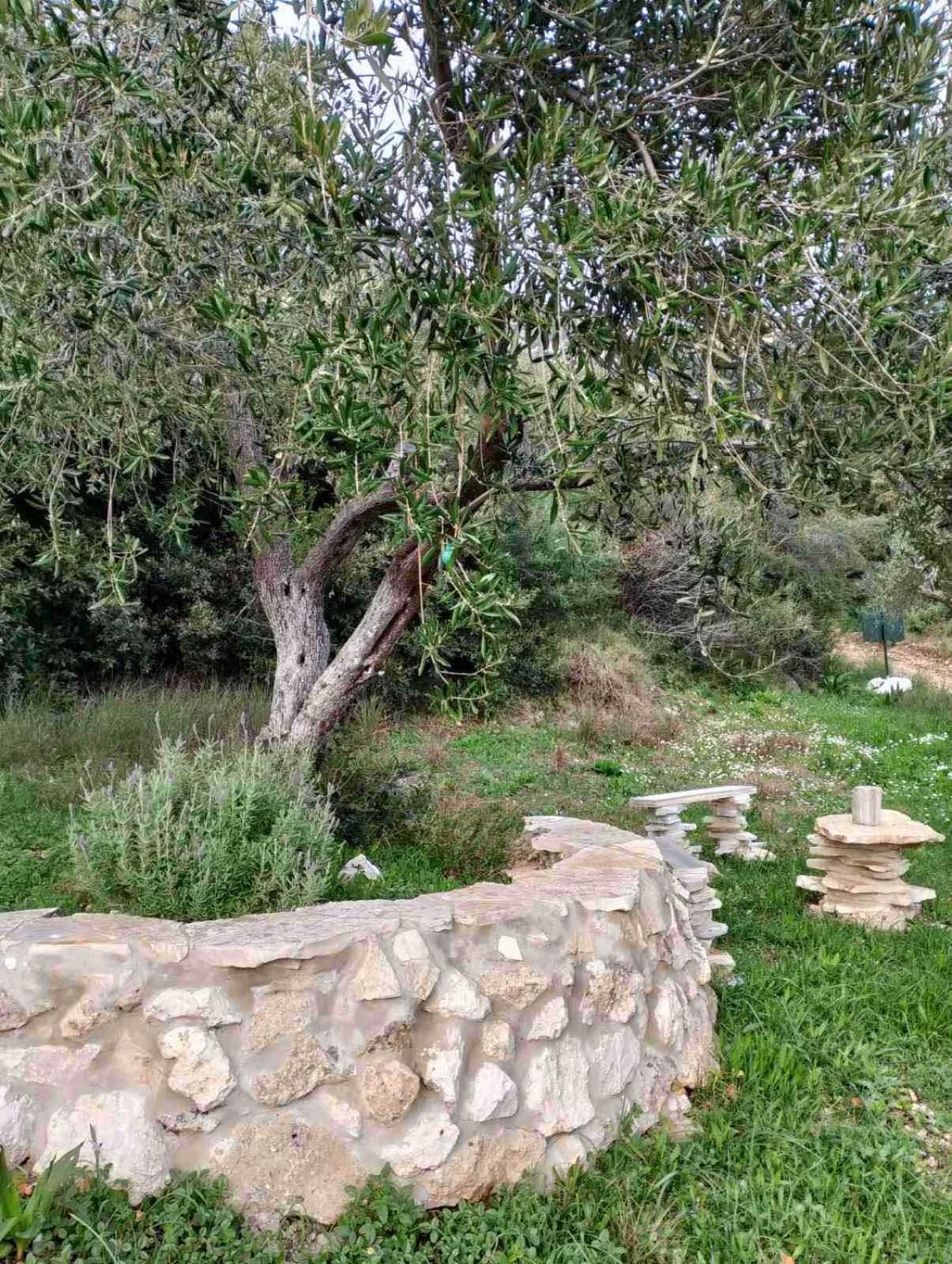 Terraoliva&Herbs Vatos Exterior photo
